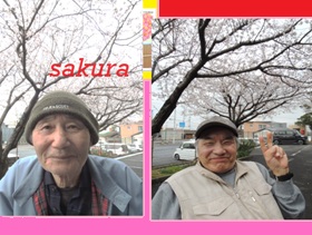 saku